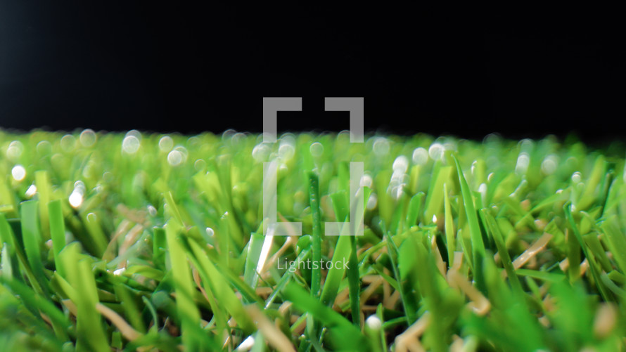Grass of a football pitch