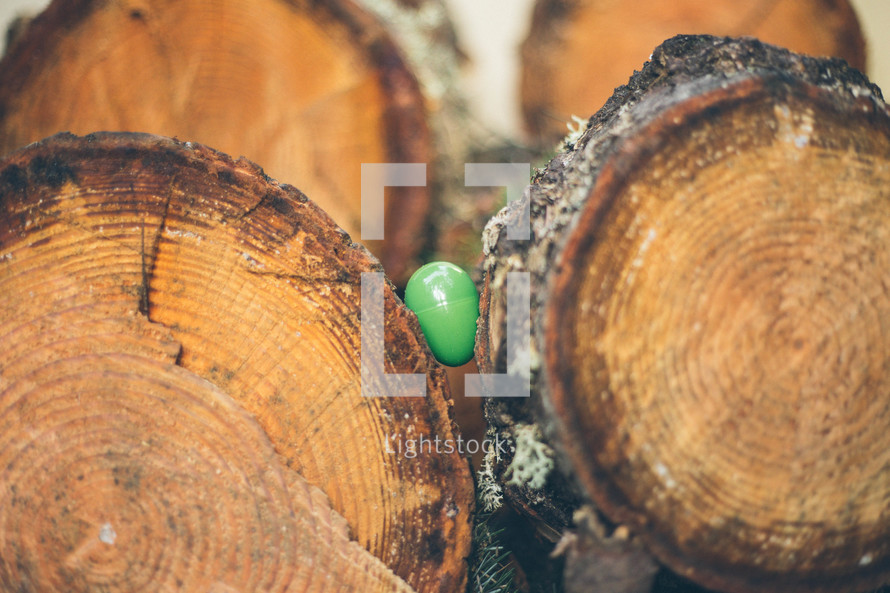 Easter egg between two logs 