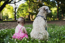 infant and dog sitting in the grass
