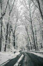 snow day, snow covered road side 