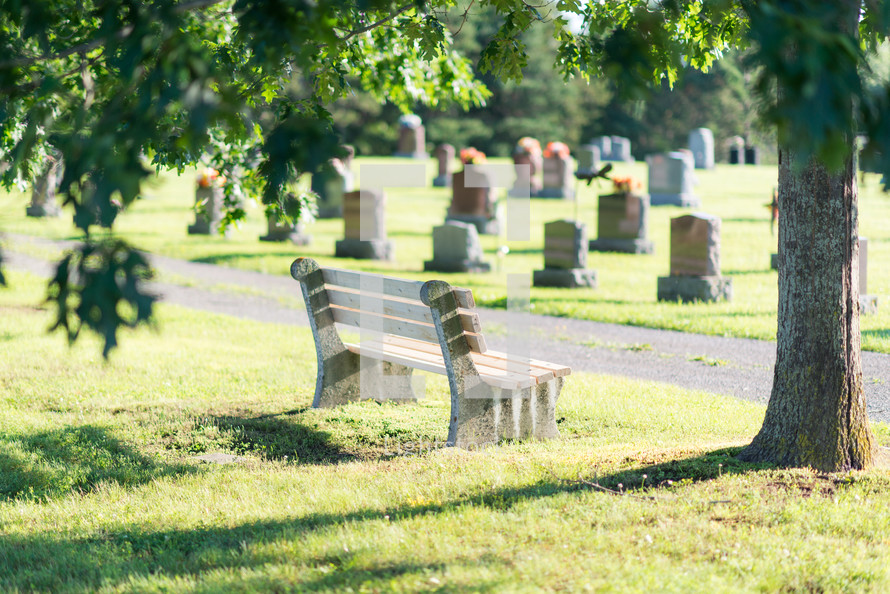 empty bench in front of a cemetery 