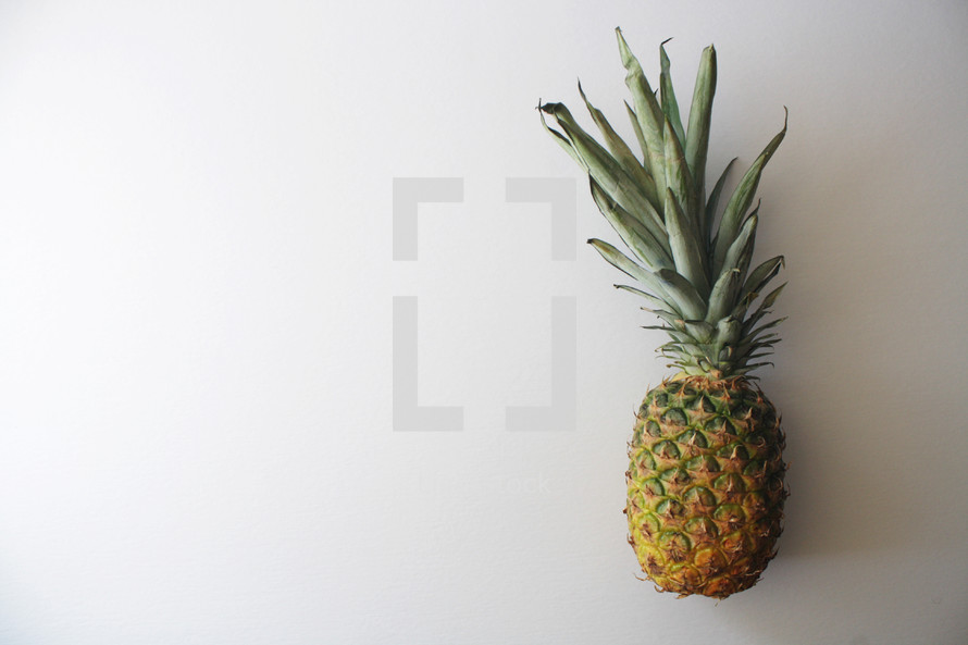 pineapple on a white background 