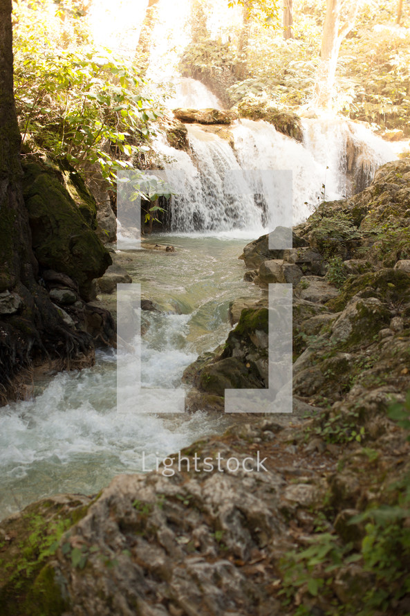 waterfall in a forest 
