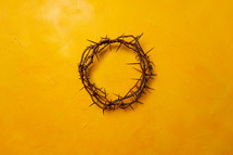 crown of thorns on a yellow background 