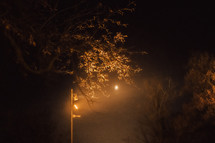 fog and glowing street light 