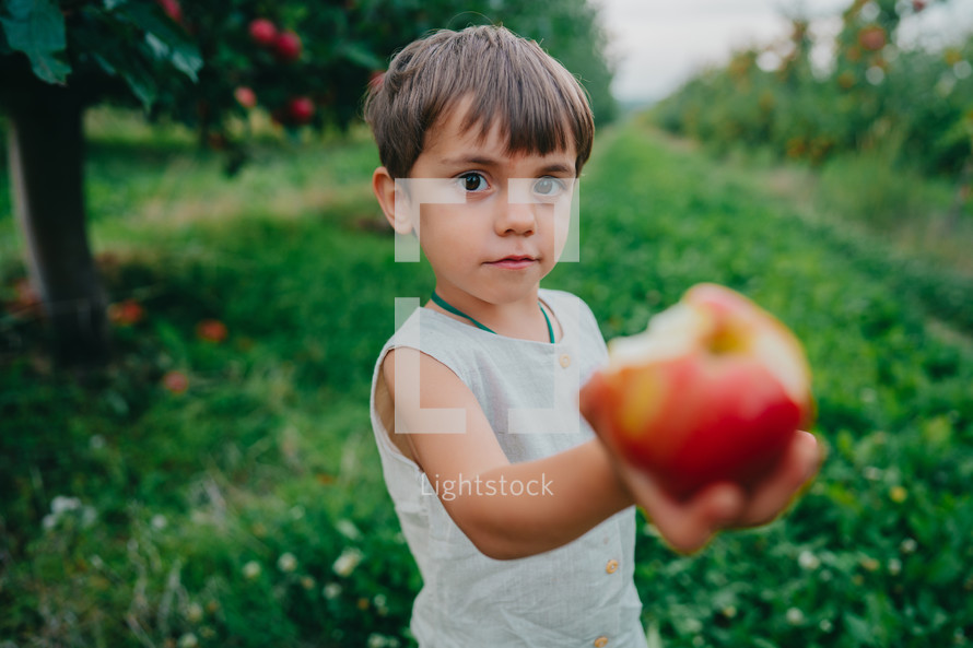 Cute Little Toddler Boy Holds Out And Offers Ripe Red Apple. Kid In Garden
