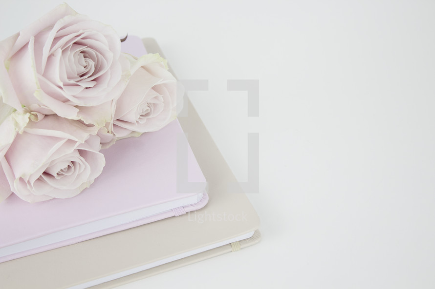 light pink roses on a Bible and journal 
