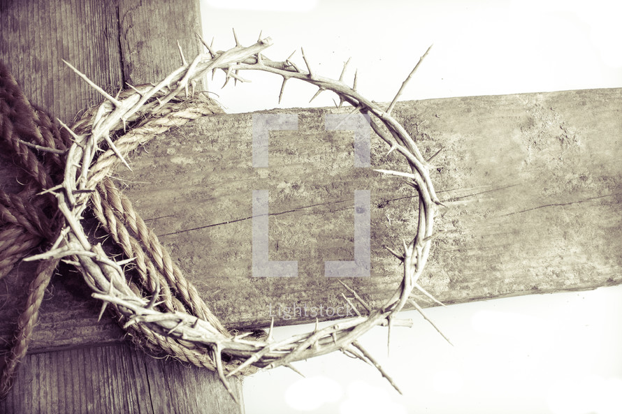 crown of thorns on a wooden cross 