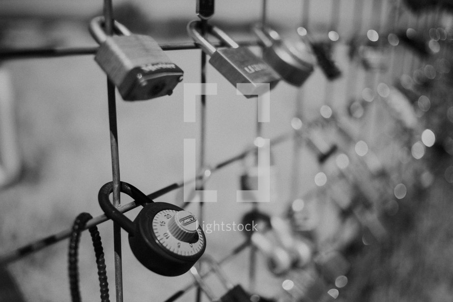 locks on a fence 