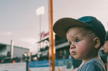 toddler watching a baseball game 