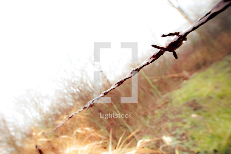 barbed wire and a field