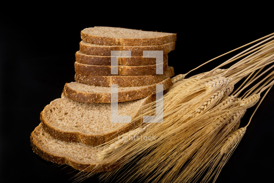 wheat grains and bread slices 