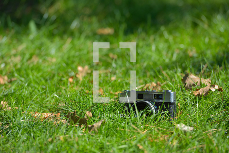 camera in the grass
