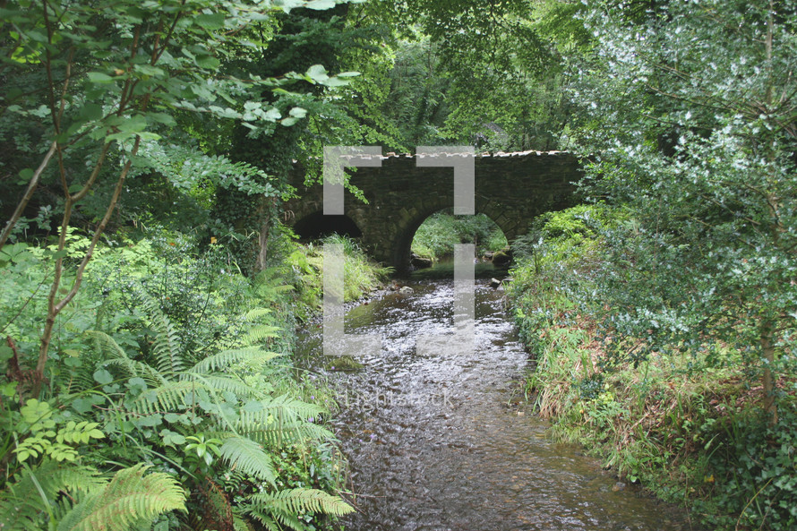 bridge over a stream in the woods 