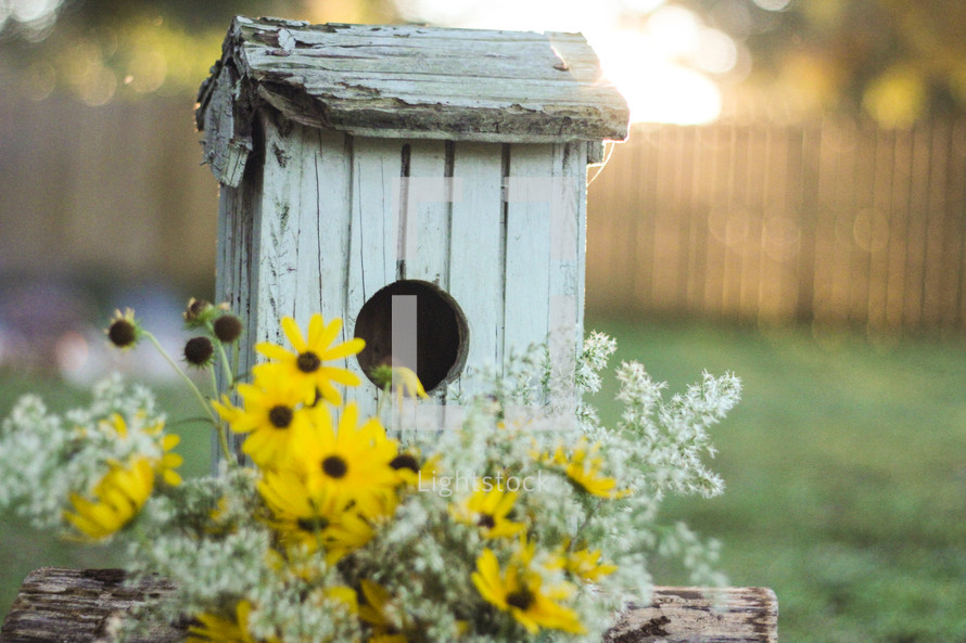birdhouse and yellow flowers 