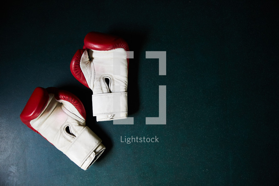 boxing gloves on the mat
