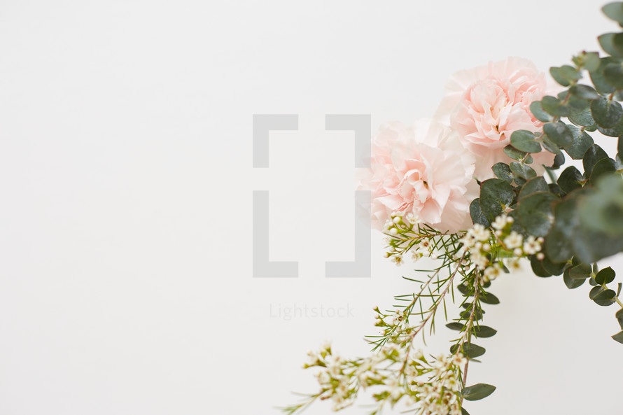 pink carnations and eucalyptus sprigs 