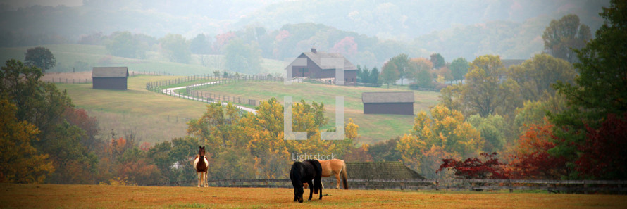 horses grazing in a field in front of a horse farm