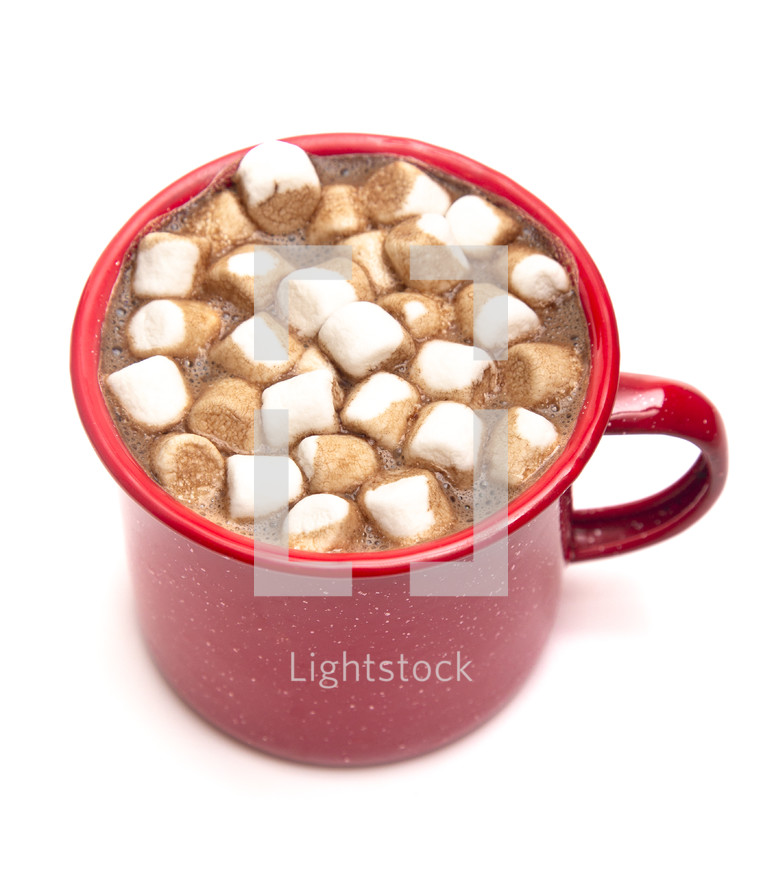 mug of hot chocolate 