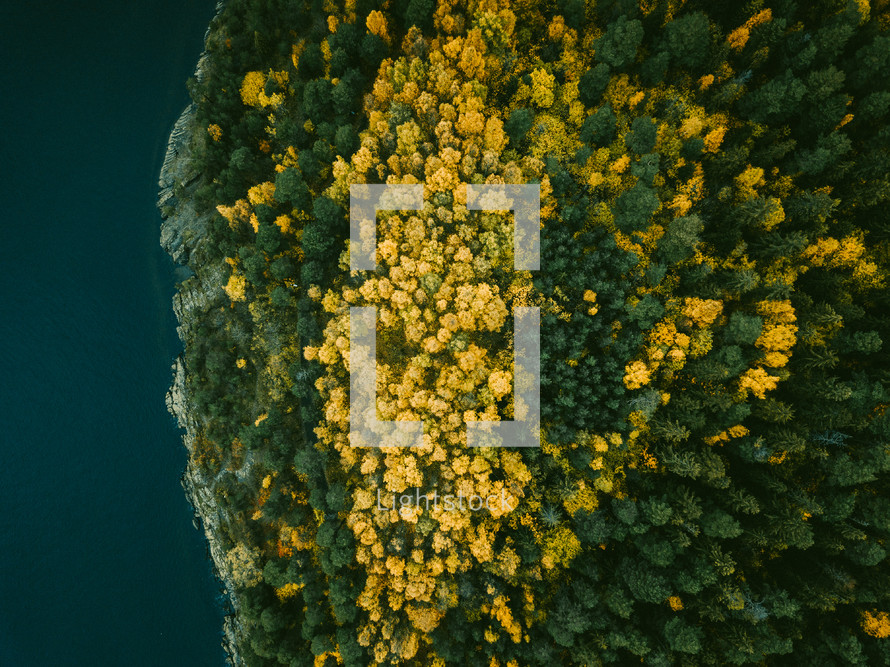 aerial view over a fall forest 
