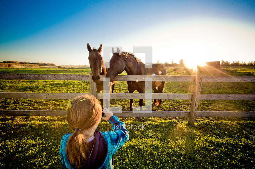 horses and a little girl 