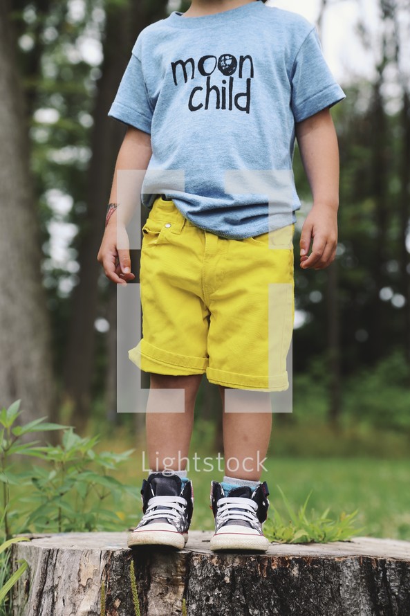 a toddler boy standing on a tree stump 