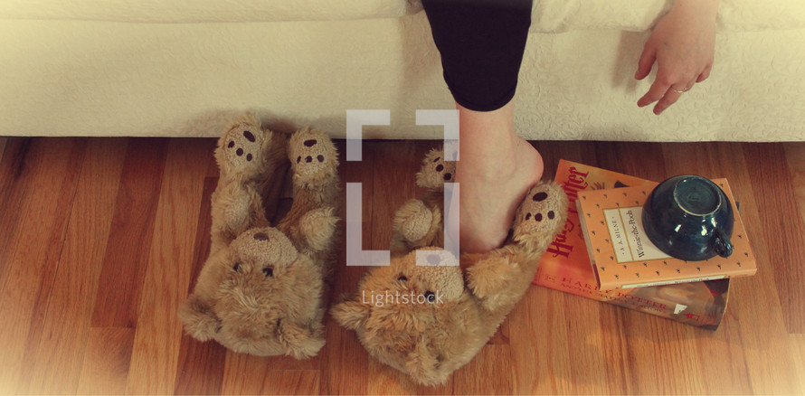 bear slippers