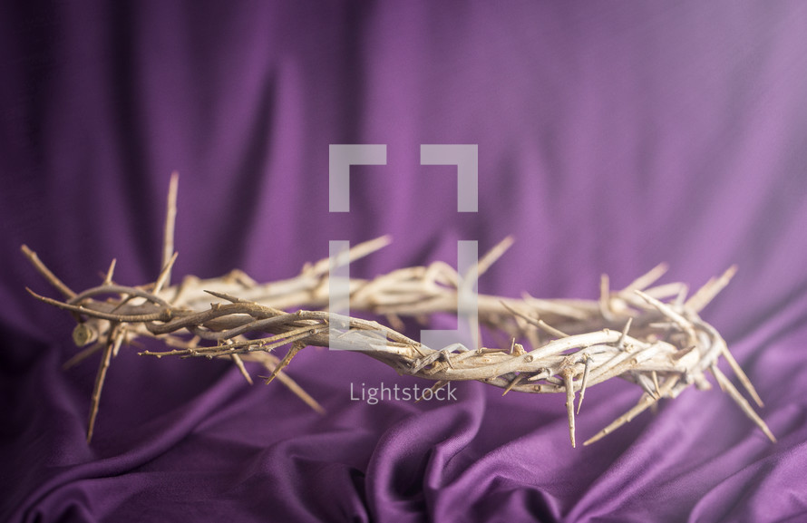 The Crown of Thorns that Jesus Wore on a Purple Fabric Background