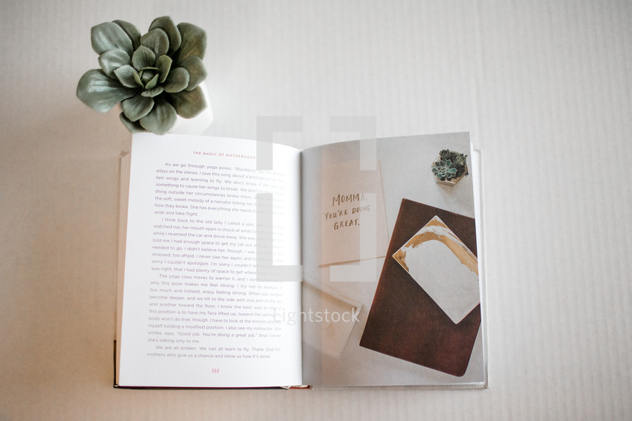 pages of an open book and succulent plant 