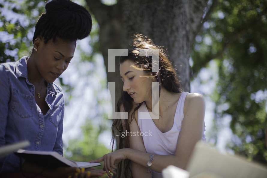 women reading Bibles outdoors in a park 