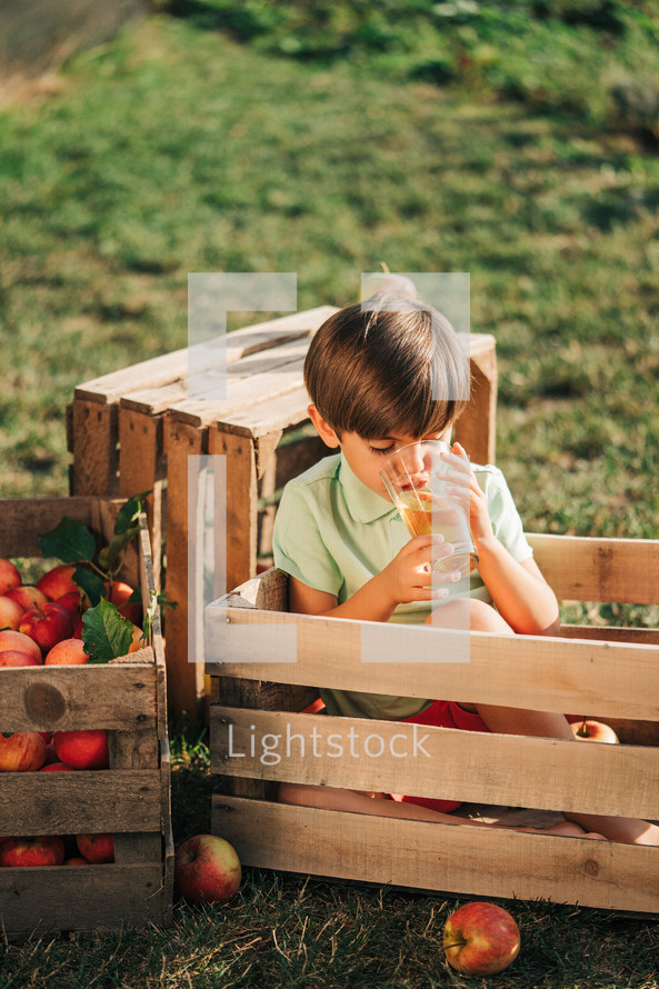 Cute little toddler boy drinking apple juice in wooden box in orchard. Son in home garden explores plants, nature in autumn countryside. Amazing scene. Family, love, harvest, childhood concept 