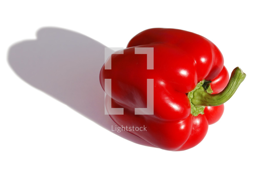 red bell pepper 