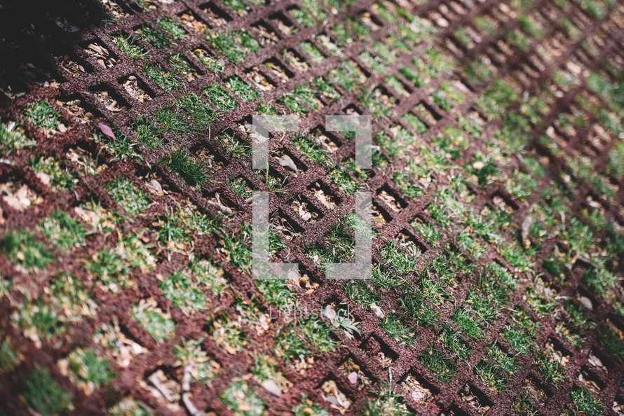 field carpet with natural field, Geometric texture with herbs