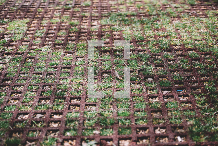 field carpet with natural field, Geometric texture with herbs