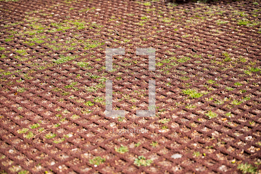 field carpet with natural field, Geometric texture with herbs