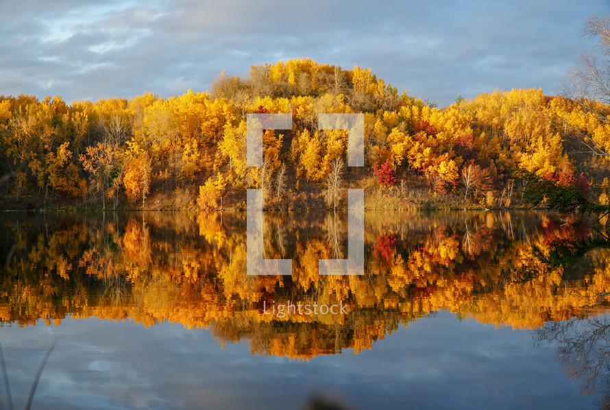 Fall Landscape 