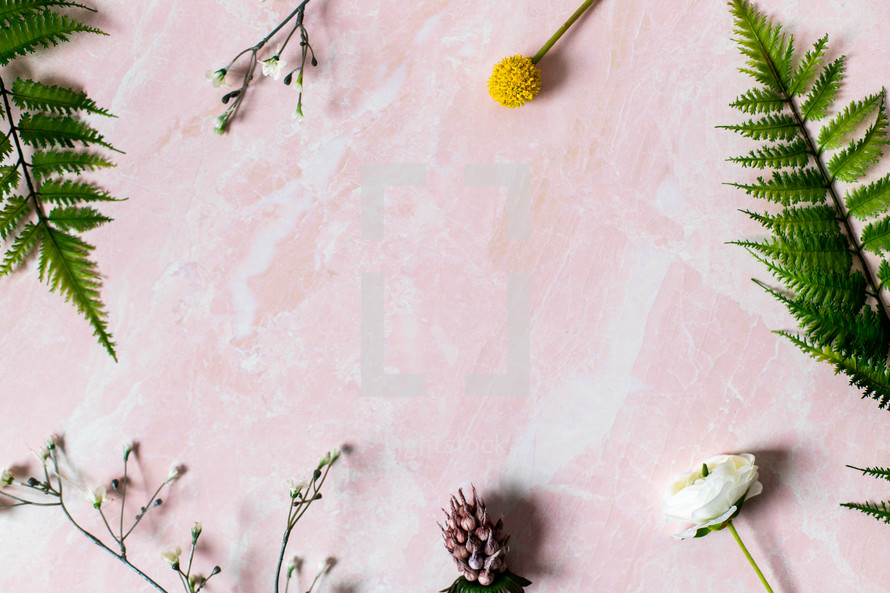 flowers and ferns on a pink marble background 