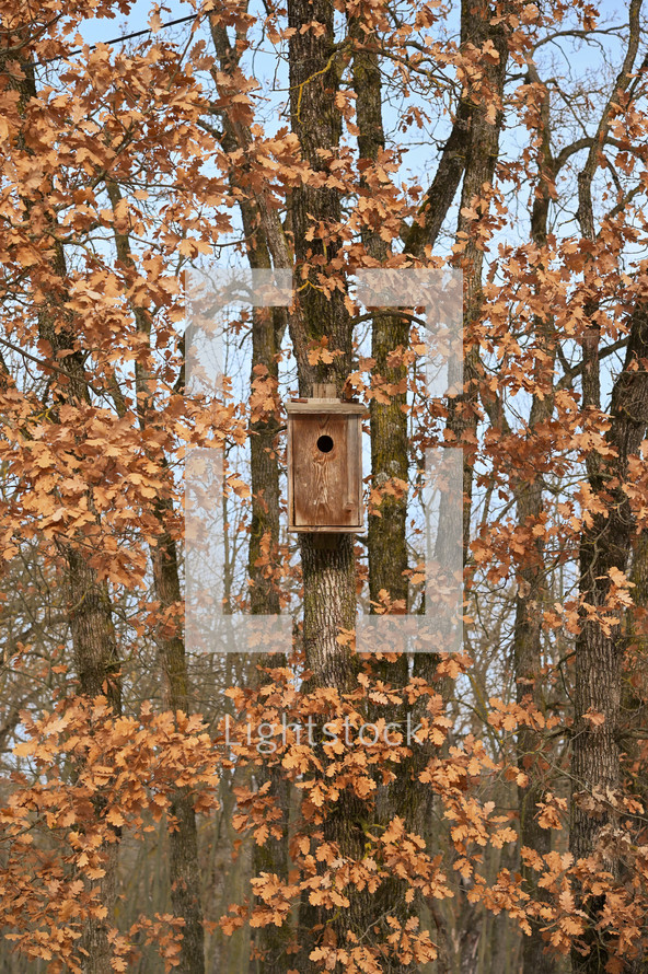 Camouflage Wooden Bird Cage, Bird House In The Forest in Winter Time