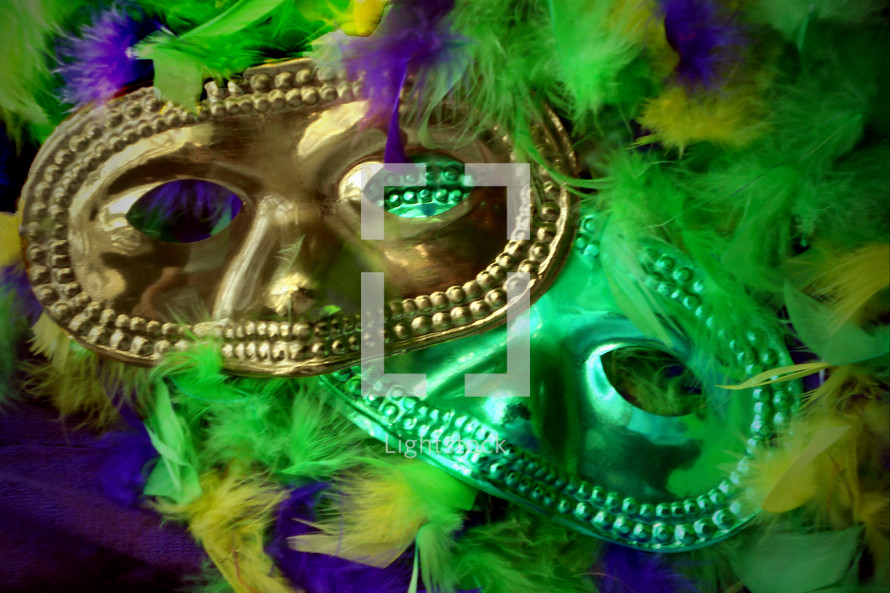 Mardi Gras masks and feathers. 