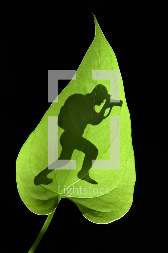 Photographer with camera silhouette behind of green leaf