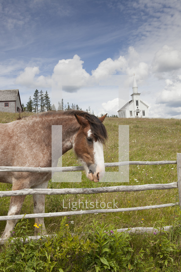 Horse in a fenced pasture with barn and church in the background.