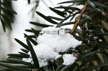 engagement ring in snow on a pine 