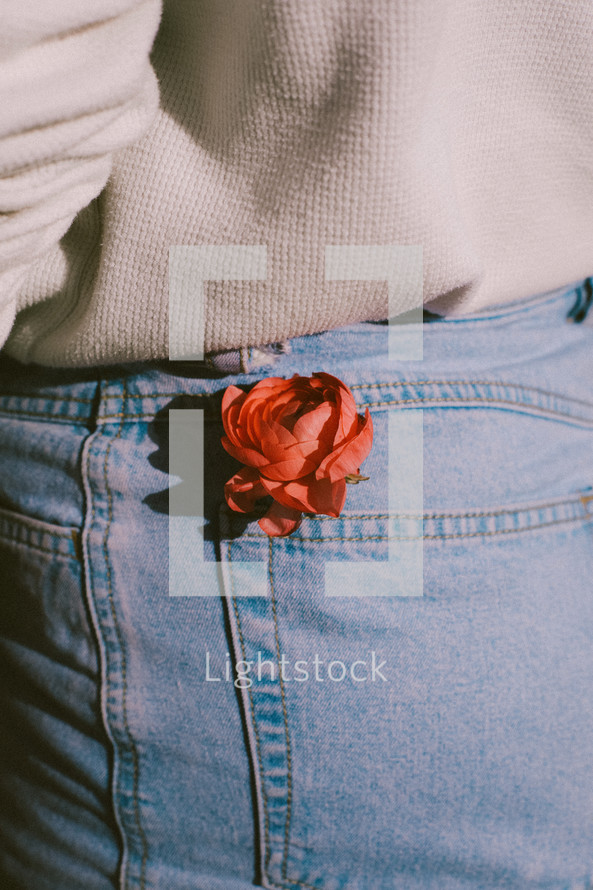 a rose in a back pocket 