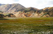 Mountains and a meadow in Iceland
