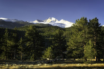 A snow Capped Longs Peak as seen from Beavers Meadow in Rocky Mountain National Park
