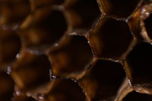 honeycomb 