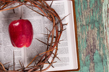 crown of thorns and apple on the pages of a Bible 