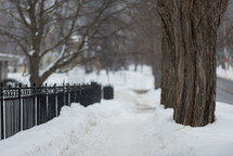wrought iron fence and snow 