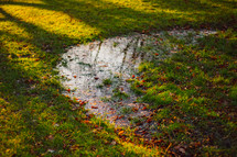 a puddle in grass 