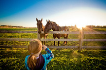 horses and a little girl 